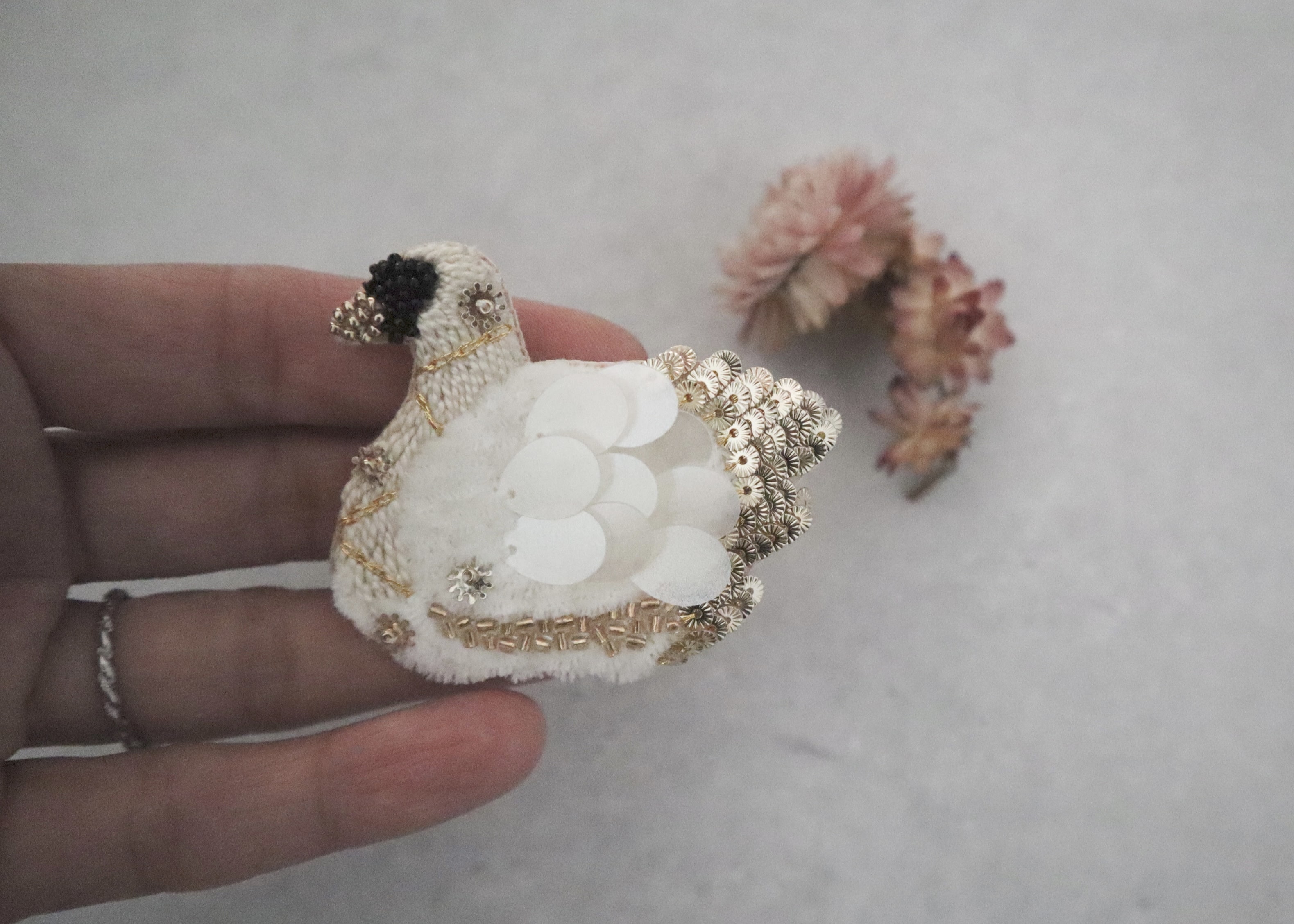 Cotoha Swan�T�u�Q.jpg