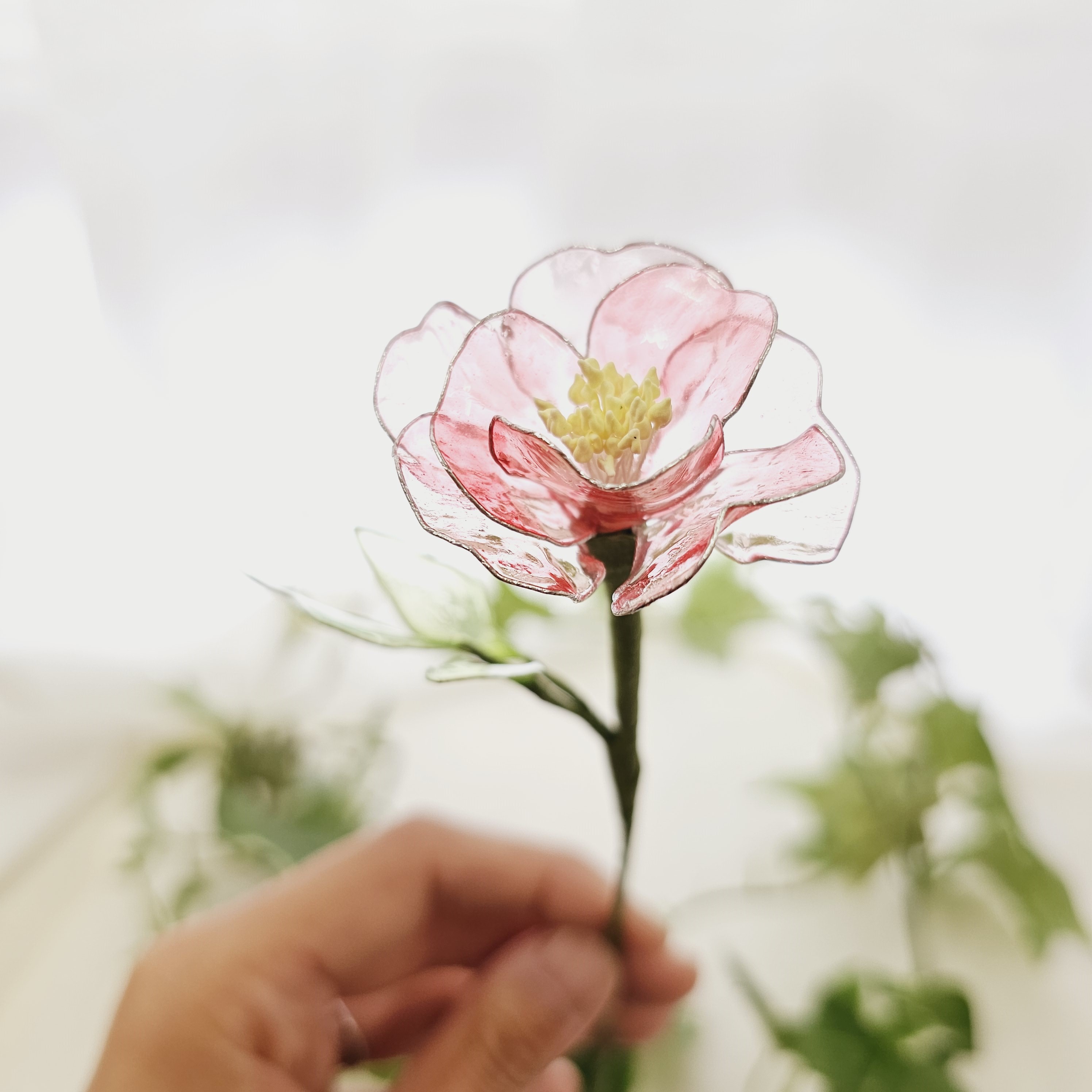 (メイン).jpg