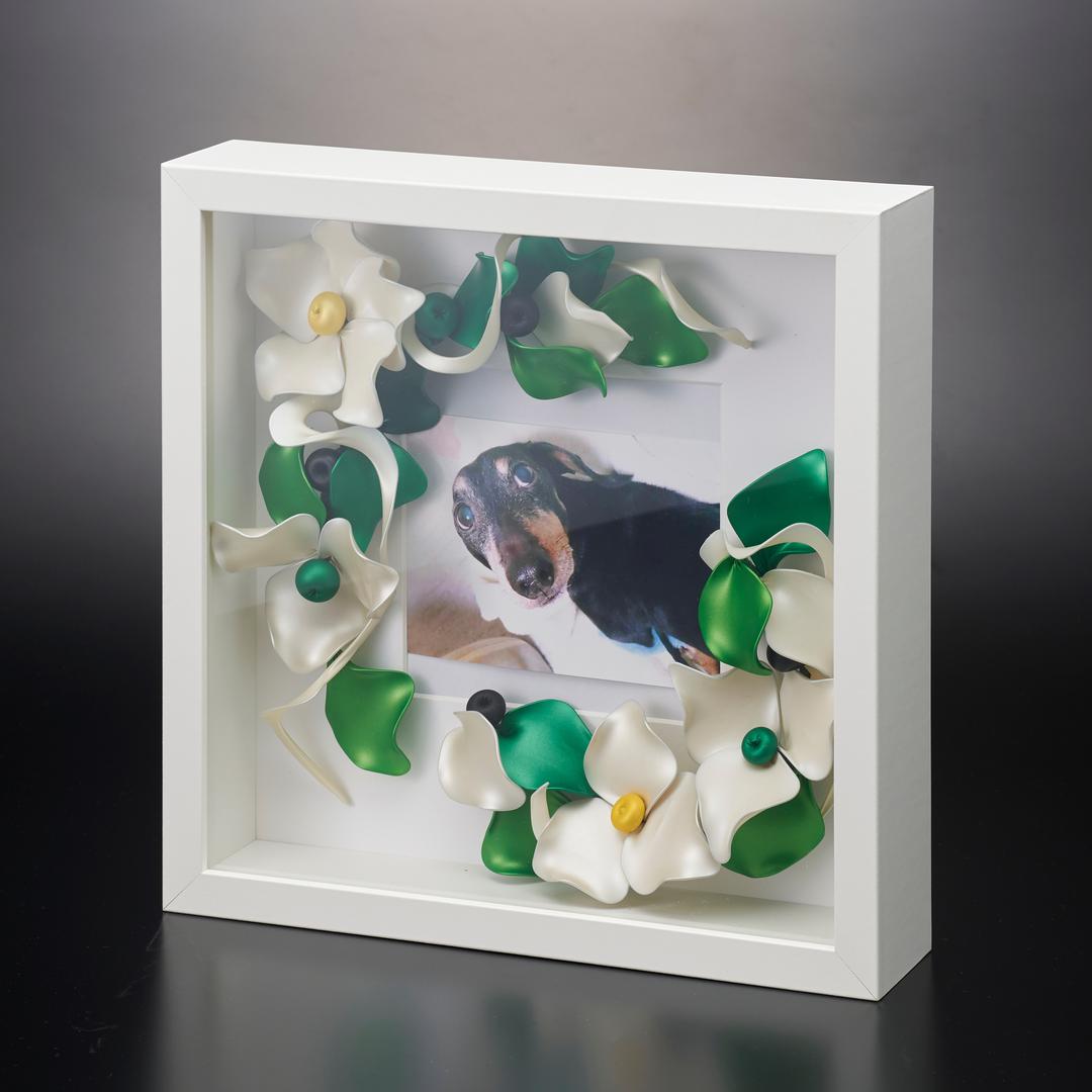 ûcé��é▄é╣é╚éóâoâïü[âôâAü[âg1_r