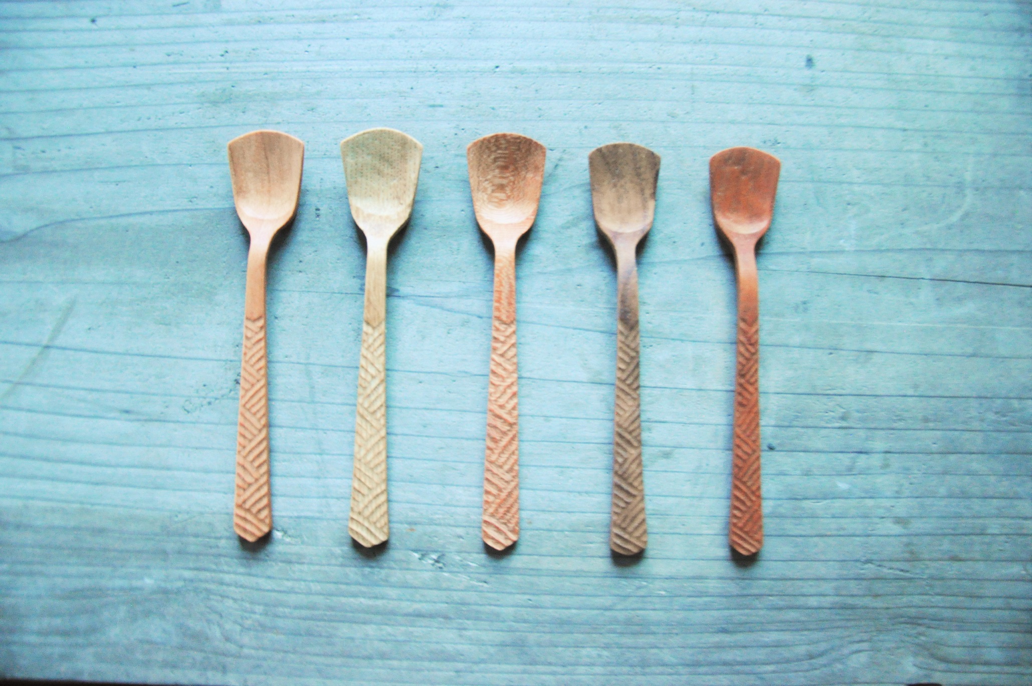 20240930 �R�^�j1day���C��.JPG