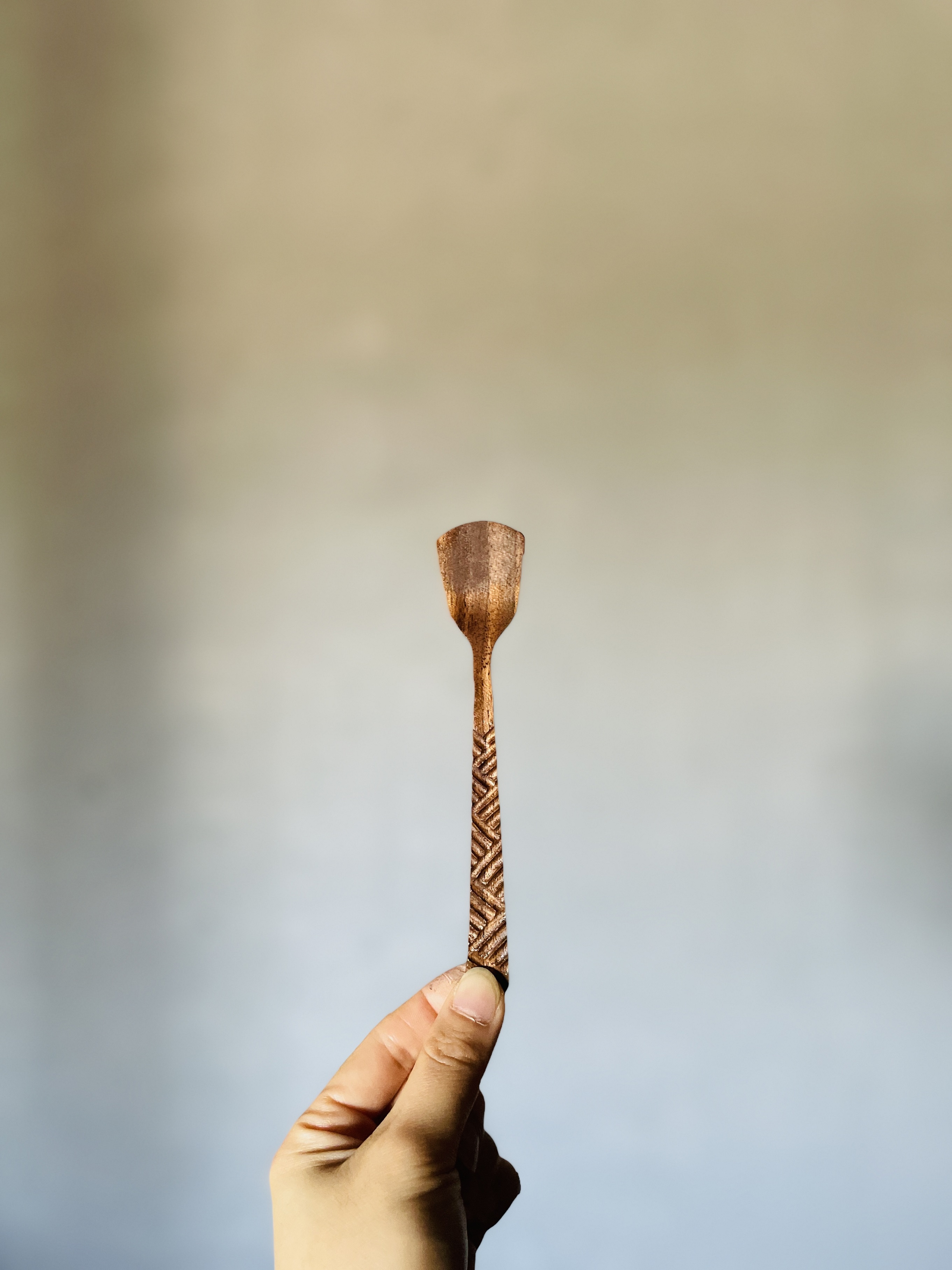 20240930 �R�^�j1day�T�u1.jpeg