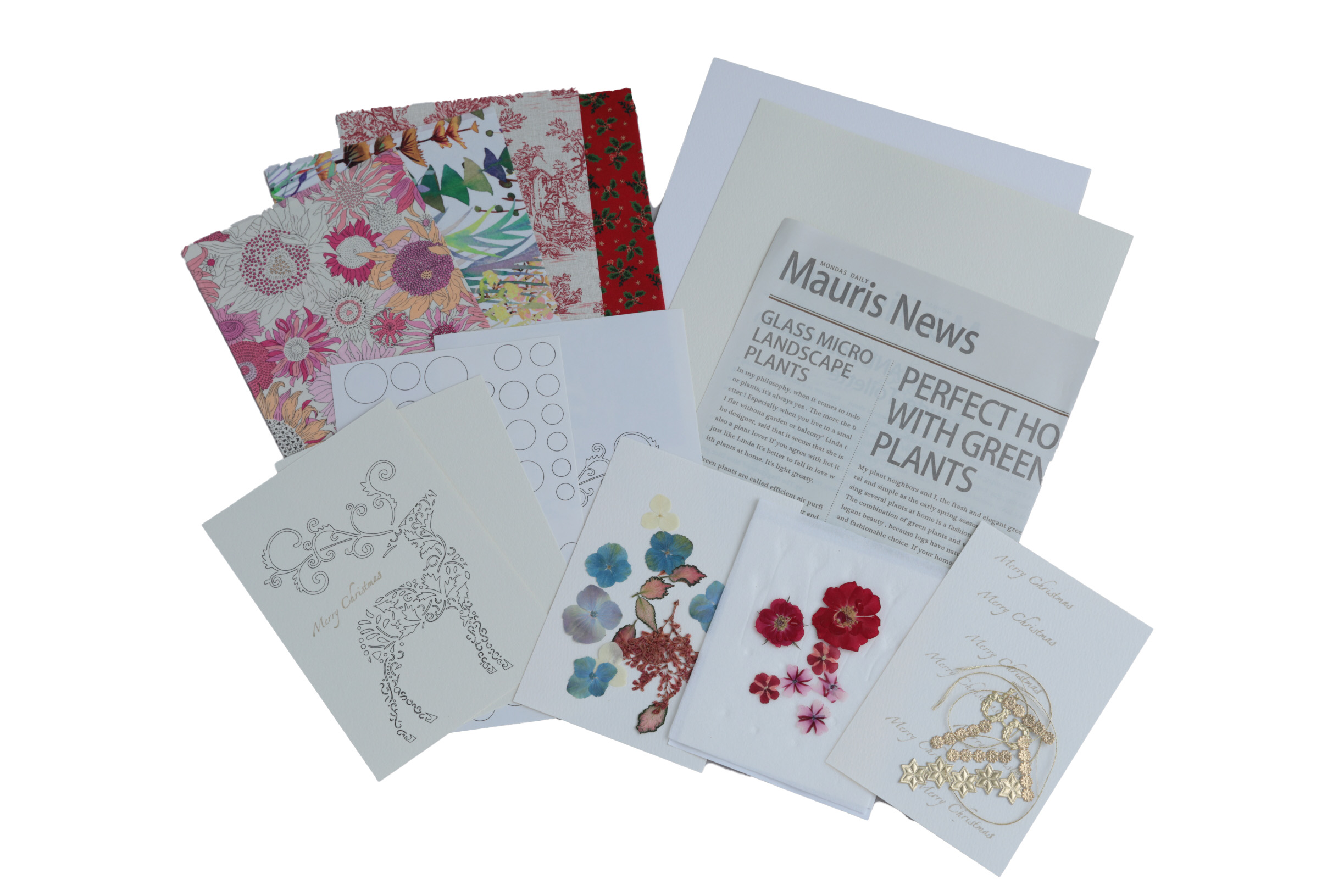 IMG_3097 - �R�s�[.JPG