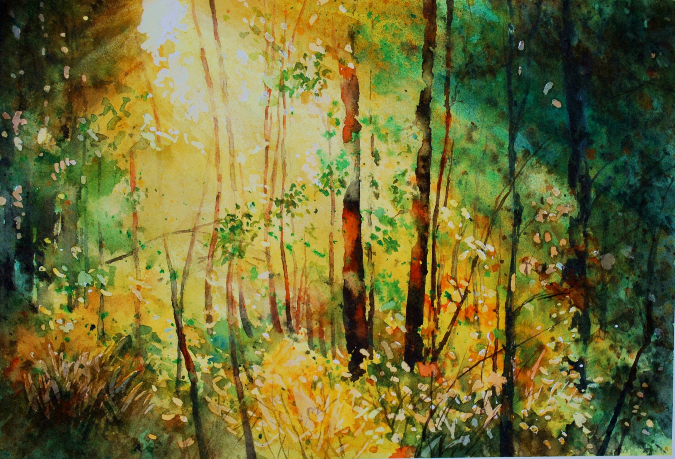 �X�̌�-�d�オ�茩�{ (�J�X�^��).jpg