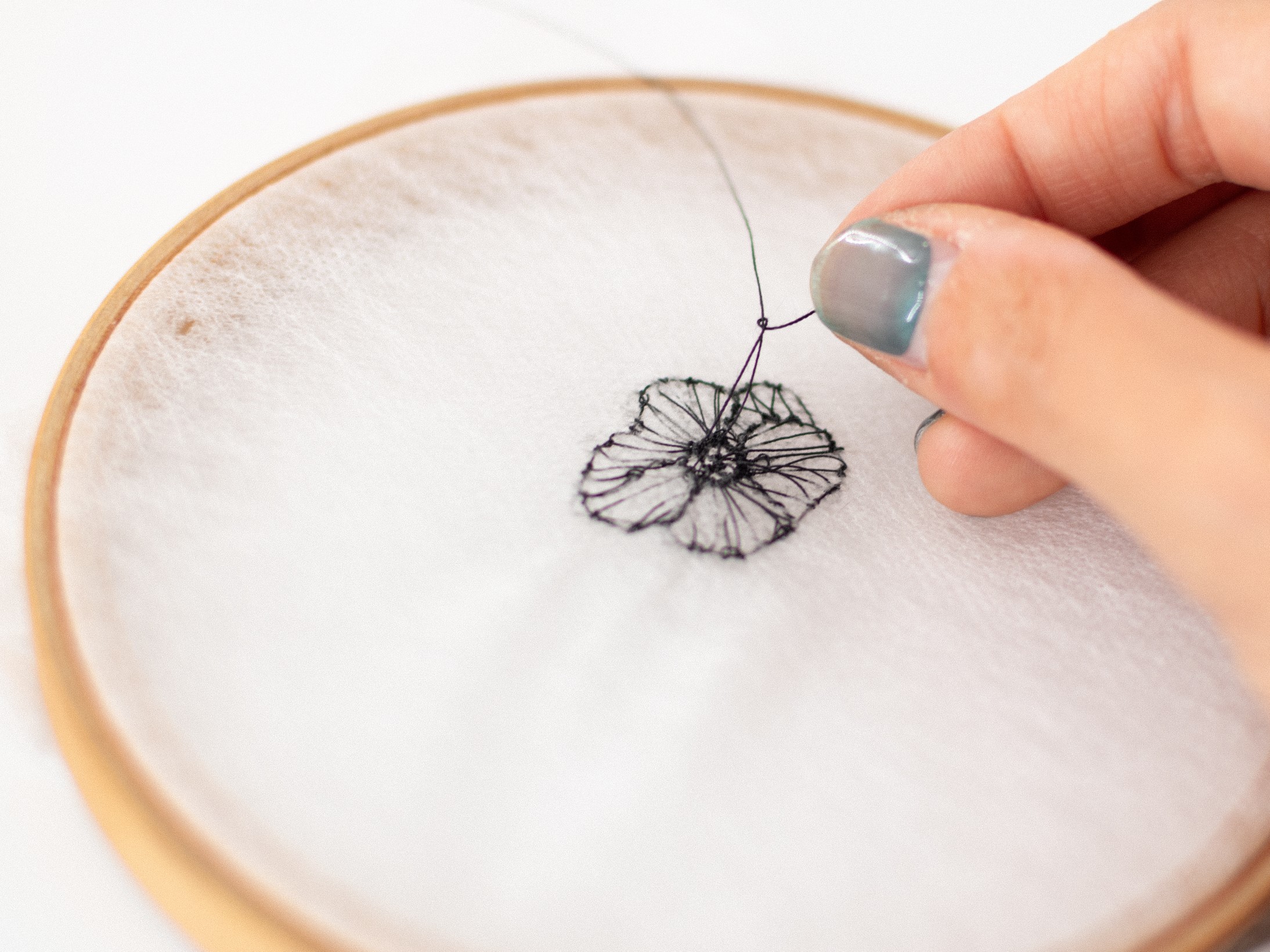 DSC_0854 (�J�X�^��).jpeg