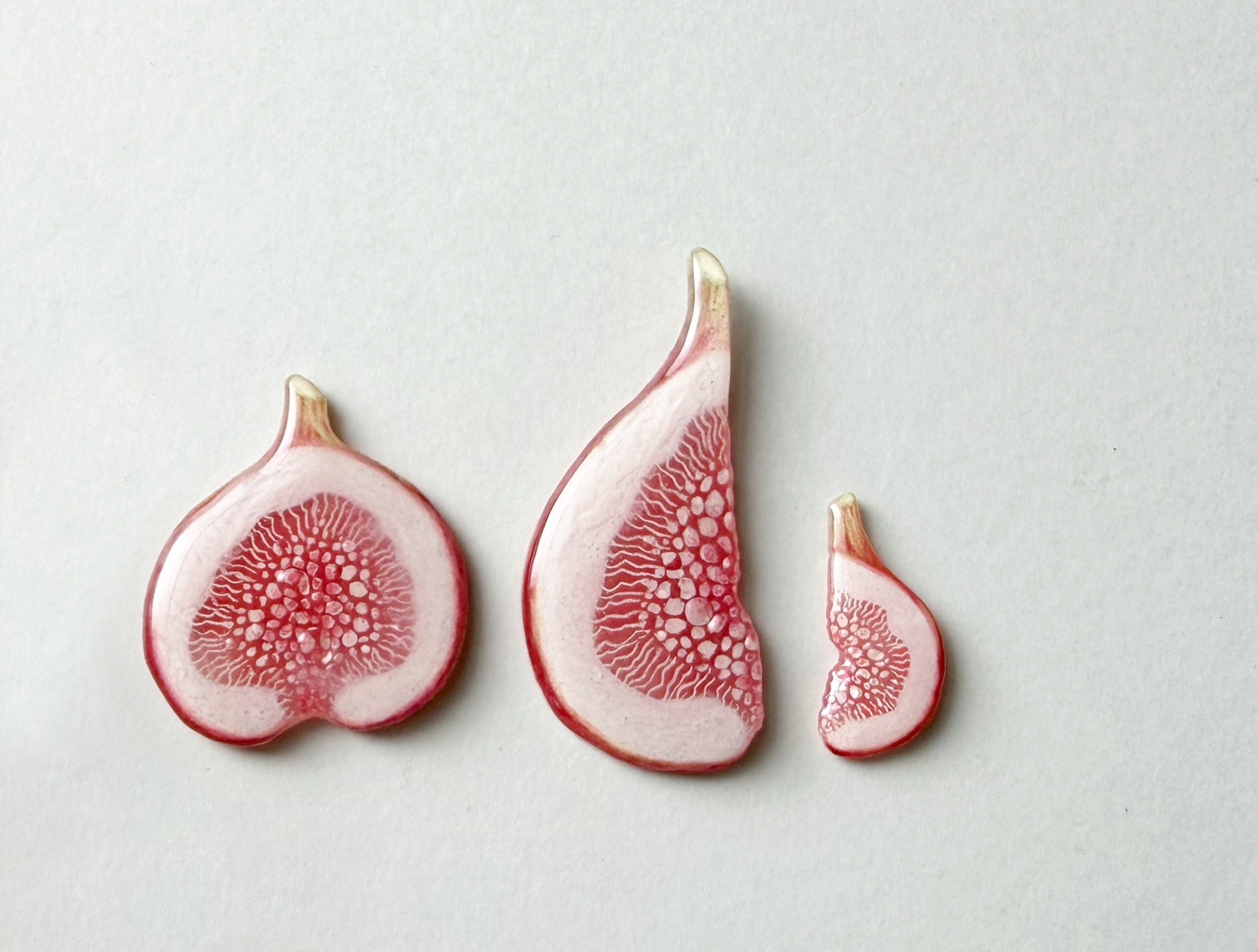 yucopoco_fig1_202607.jpg